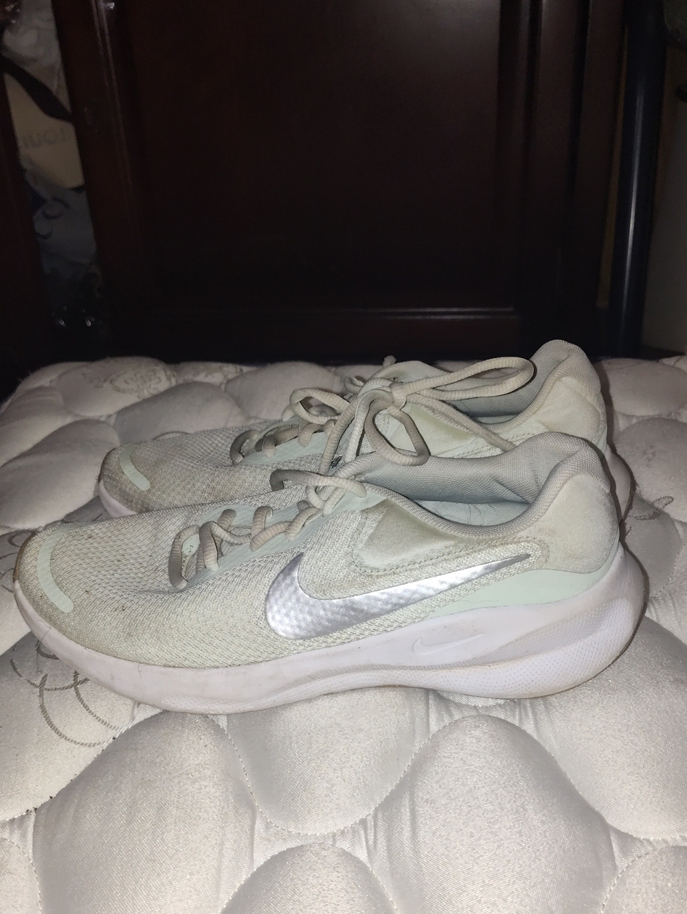 Nike Women's Mint Green and Silver Mesh Running Sneakers